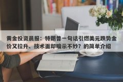 黄金投资晨报：特朗普一句话引燃美元跌势金价又拉升、技术面却暗示不妙？的简单介绍